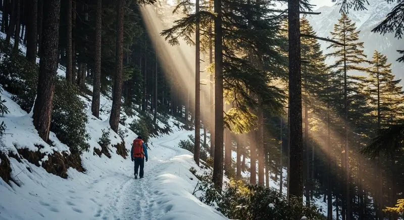 Hôtels à Manali