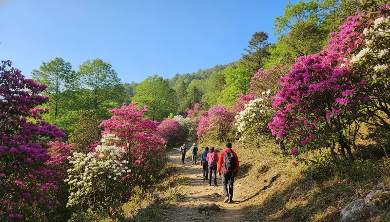 Aancha top yamunotri trek uttarkashi – view 3