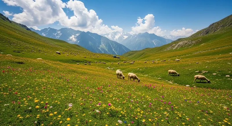 Dayara bugyal trek uttarkashi – view 3